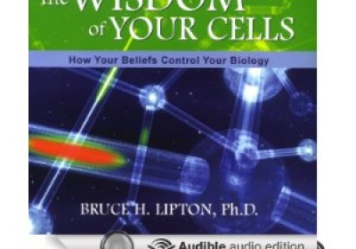 The Wisdom of Your Cells by Dr. Bruce Lipton