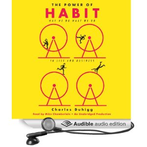 The Power Of Habit: Why We Do What We Do in Life and Business